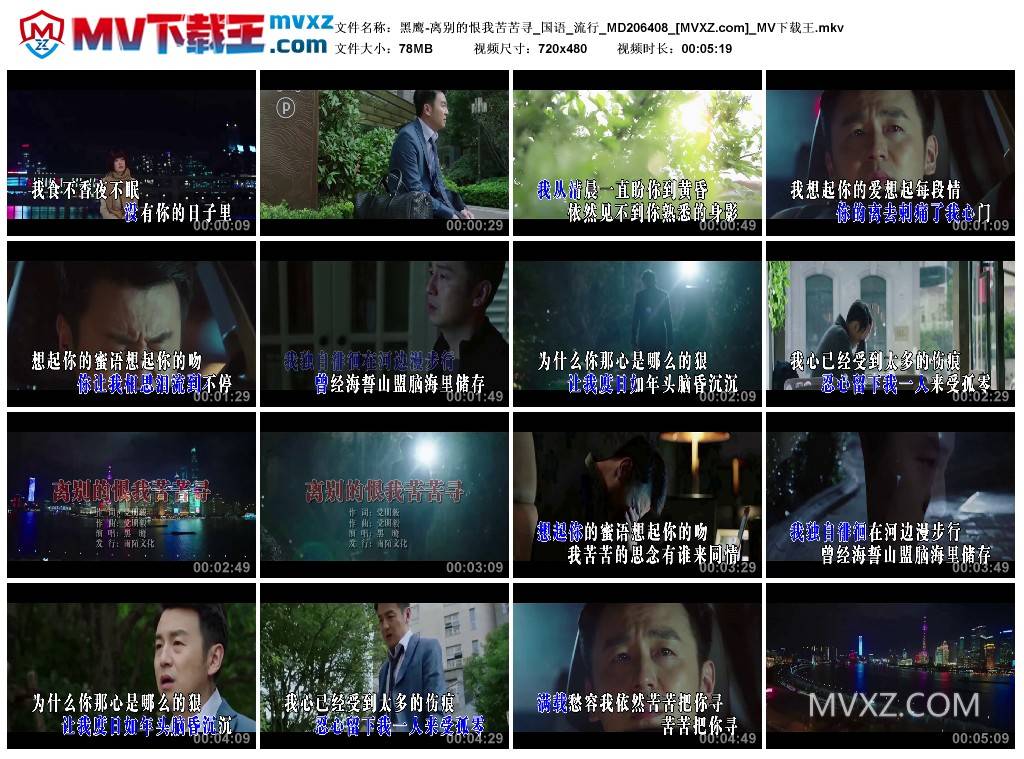 黑鹰-离别的恨我苦苦寻_国语_流行_MD206408